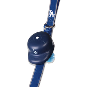 Dodgers Walk Kit