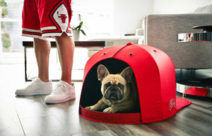 Nap Cap - NBA - Chicago Bulls - Pet Bed