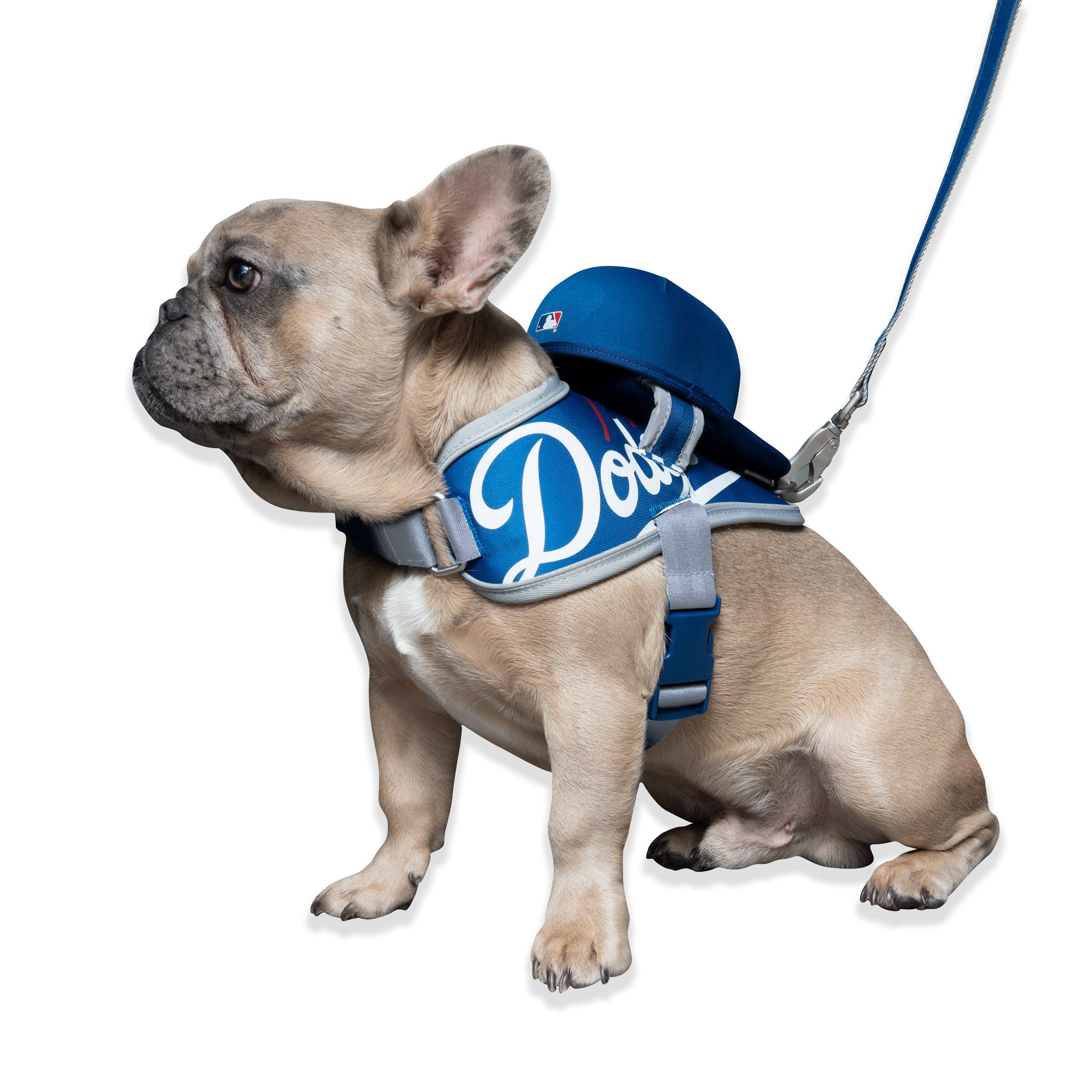 Dog, Dodger Dog Jersey