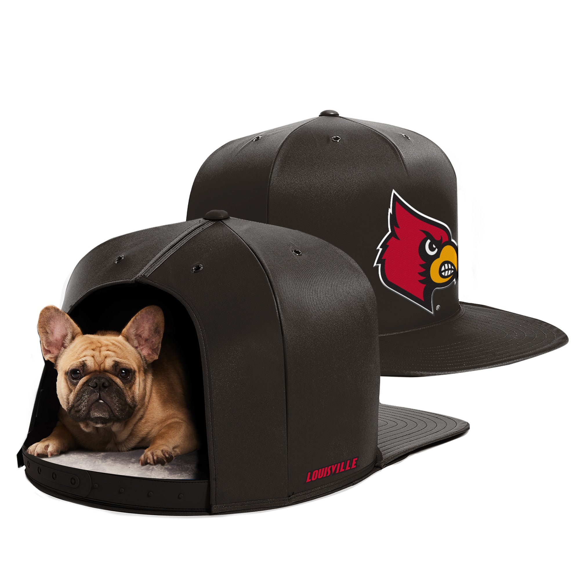 Louisville Cardinals  Pet Products at Discount Pet Deals