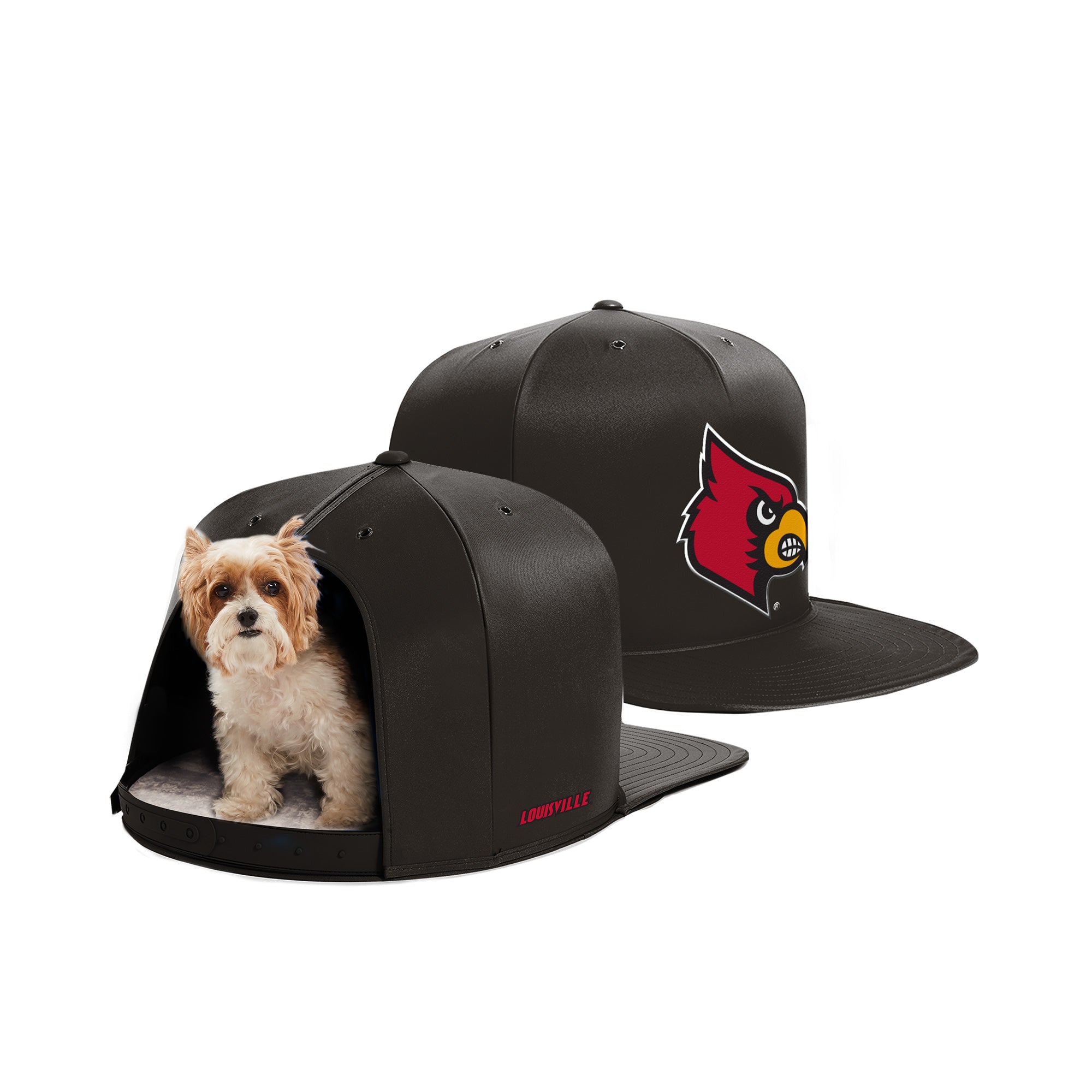 Louisville Cardinals  Pet Products at Discount Pet Deals