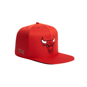Nap Cap - NBA - Chicago Bulls - Pet Bed