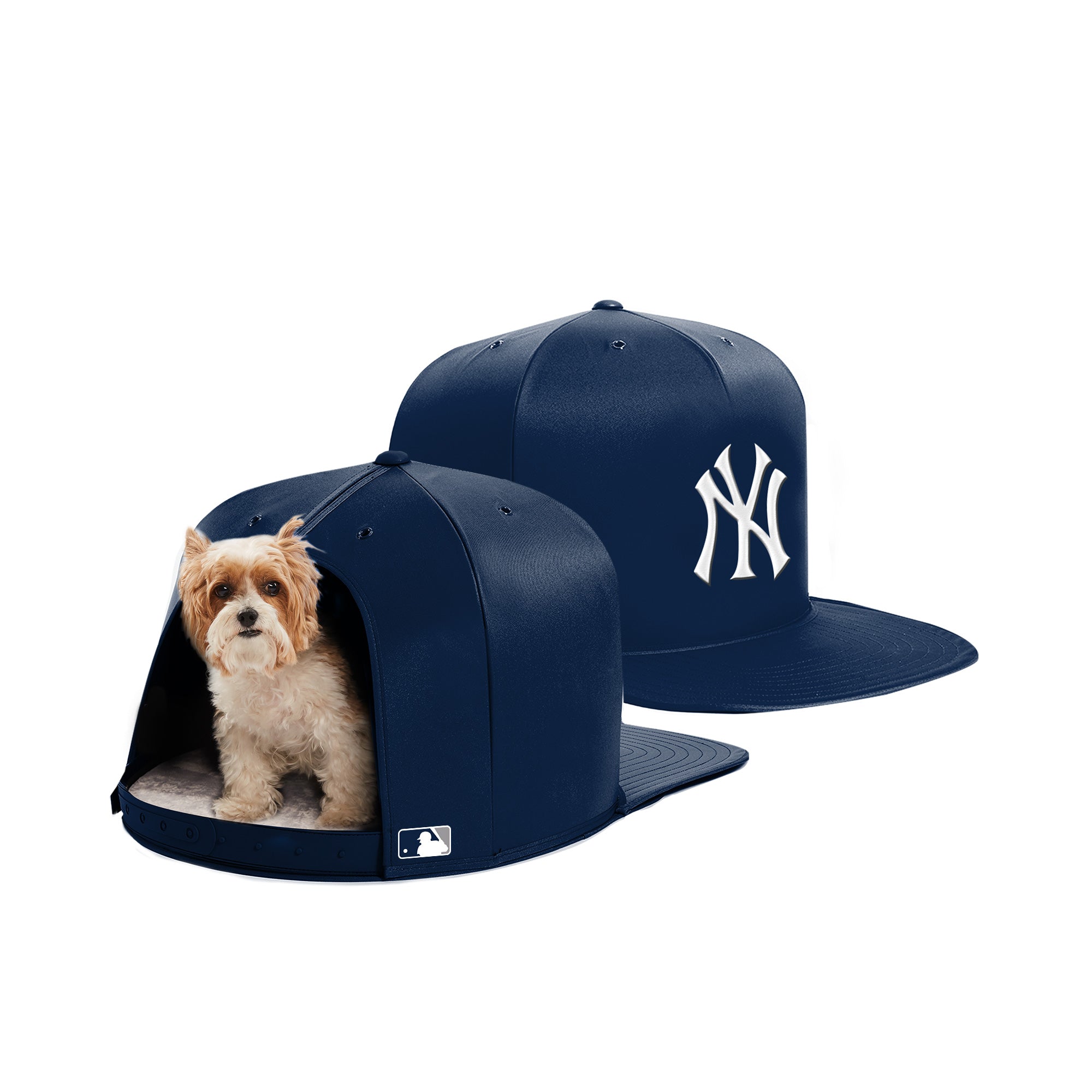 dog with yankee hat