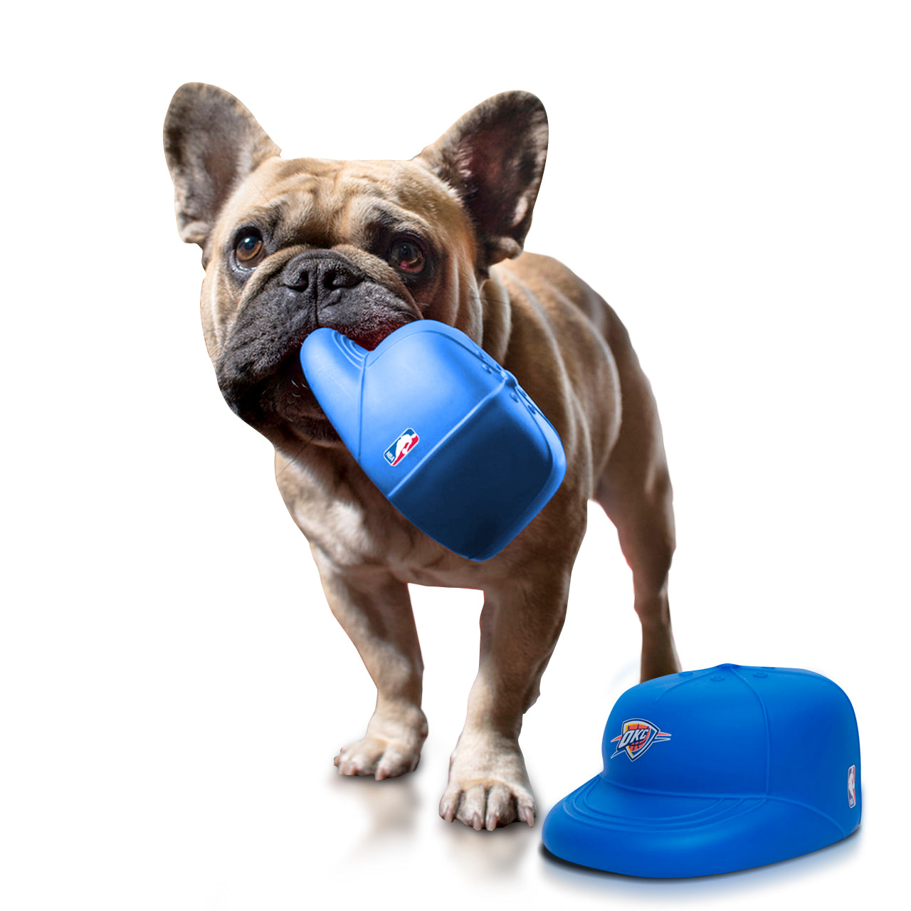 Dog thunder cheap cap